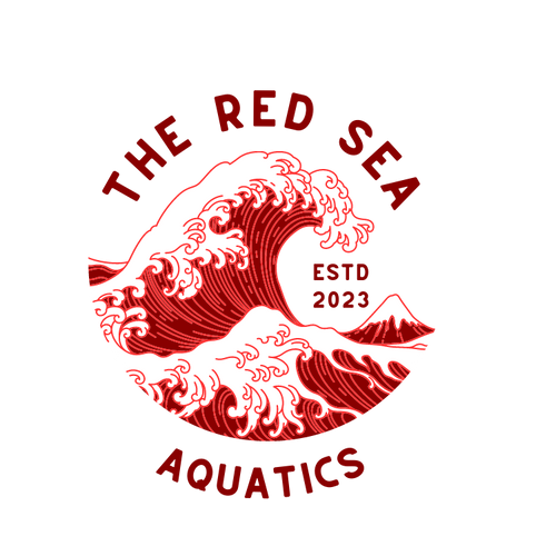 The Red Sea Aquatics